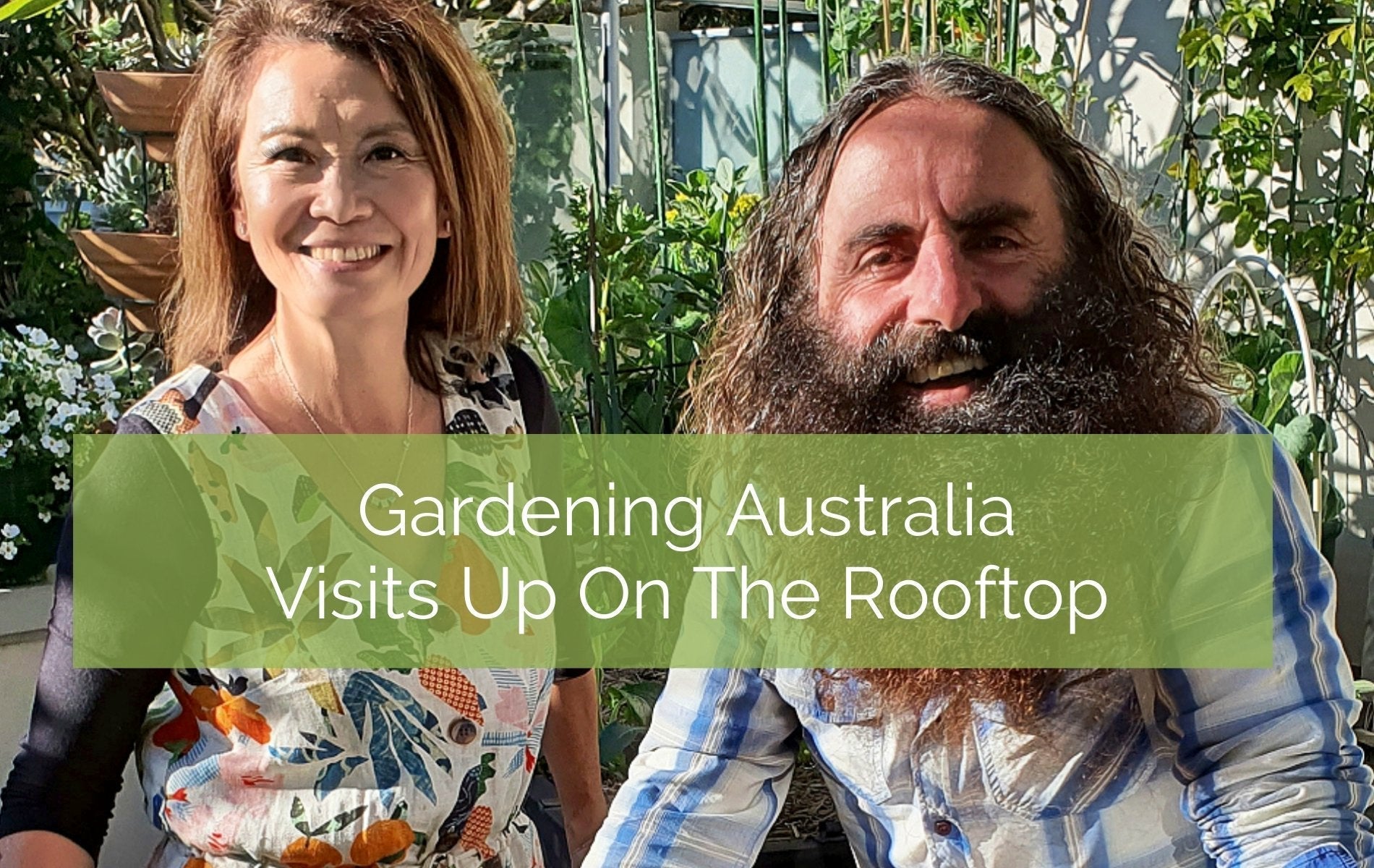 Gardening Australia Visits our Balcony Garden Up On The Rooftop