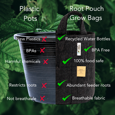 Black Root Pouch Grow Bag Twin Packs