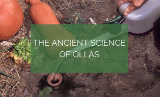 The Ancient Science of Ollas