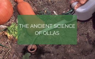 The Ancient Science of Ollas