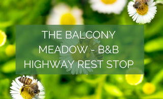 The Balcony Meadow - B&B Highway Rest-Stop