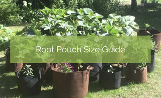 Root Pouch Grow Bag Size Guide