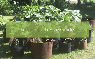 Root Pouch Grow Bag Size Guide