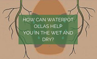 How can Waterpot Ollas Help You in the  Wet and Dry ?