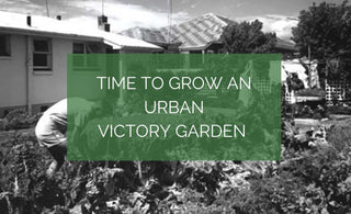 Time to grow an urban victory garden