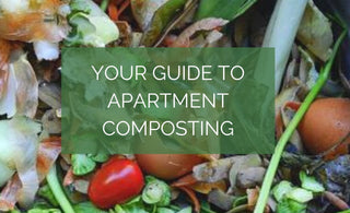 Your Guide to Apartment Composting
