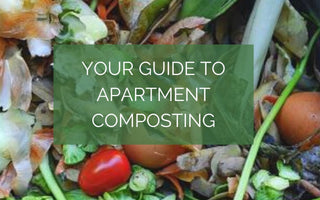 Your Guide to Apartment Composting