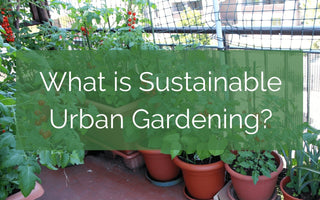 What Is Sustainable Urban Gardening