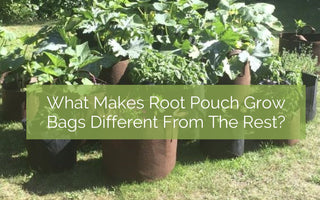 The Best Grow Bag Root Pouch