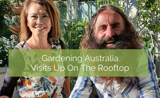 Gardening Australia Visits our Balcony Garden