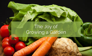 The Joy of Growing a Garden