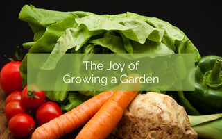 The Joy of Growing a Garden