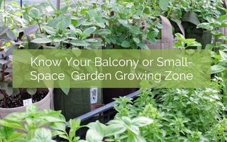 Knowing your balcony or small-space grow zone is fundamental to good growing