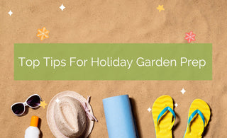 My Top Tips for Holiday Garden Preparation