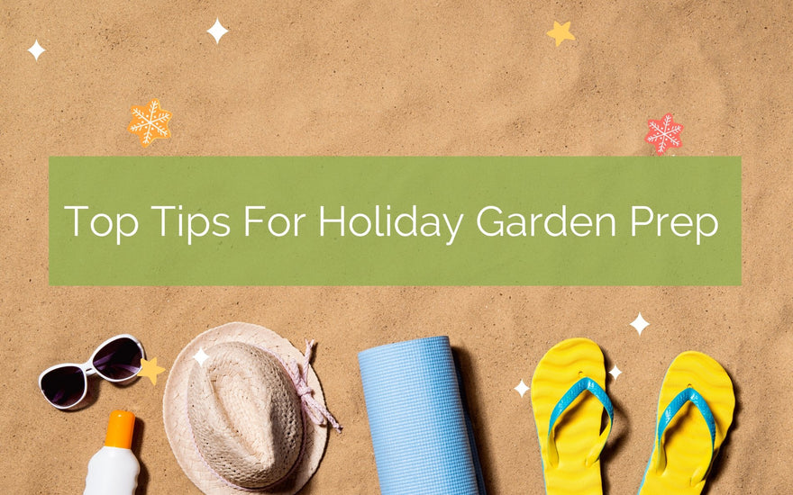 My Top Tips for Holiday Garden Preparation