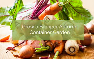 Grow a Bumper Autumn Container Garden