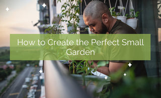 How To Create The Perfect Small Garden