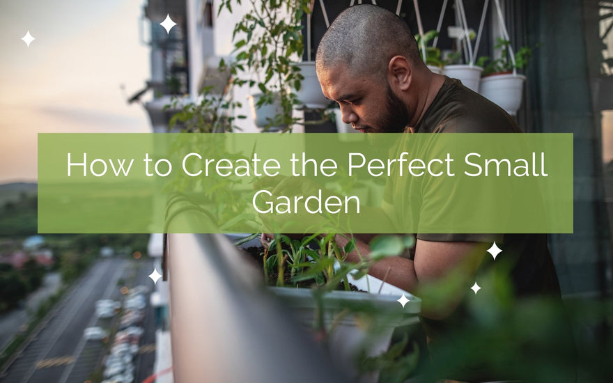 How To Create The Perfect Small Garden