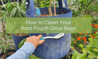 How To Clean Your Root Pouch Grow Bags