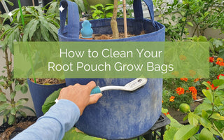 How To Clean Your Root Pouch Grow Bags