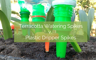 Terracotta Watering Spikes v. Plastic Drippers