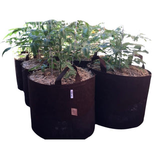 Root Pouch Grow Bags