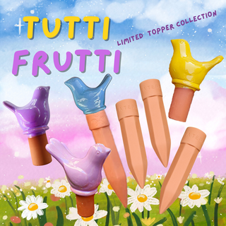 Tutti Frutti Birthday Collection | Up On The Rooftop