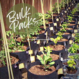 Bulk Pack Root Pouch Grow Bags | Up On The Rooftop