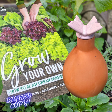 Butterfly Grow Your Own Food - How To Be An Urban Farmer Bundle