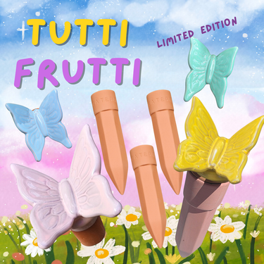 Tutti Frutti Butterfly Terracotta Watering Spike Set