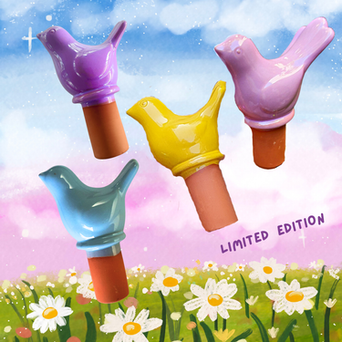 Tutti Frutti Birds Terracotta Watering Spike Sets