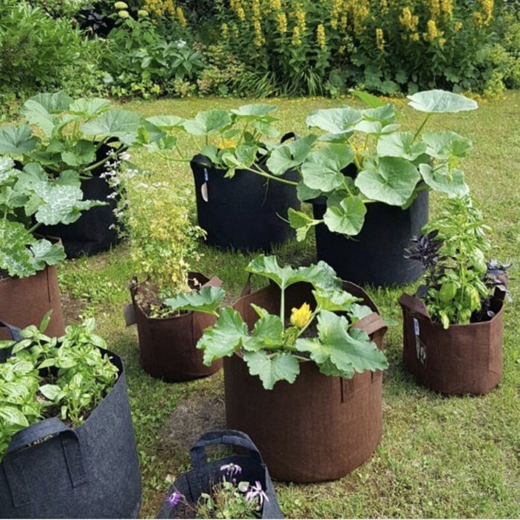 Root Pouch Garden To Table Size Guide - Up On The Rooftop