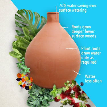 Hoe Olla Irrigation te gebruiken om efficiënt water te geven Hoe Olla Irrigation te gebruiken om efficiënt water te geven
