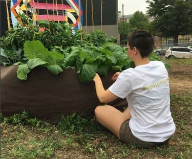 Root Pouch Boxer garden bed in Brown