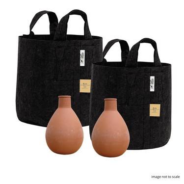 Patio Pack