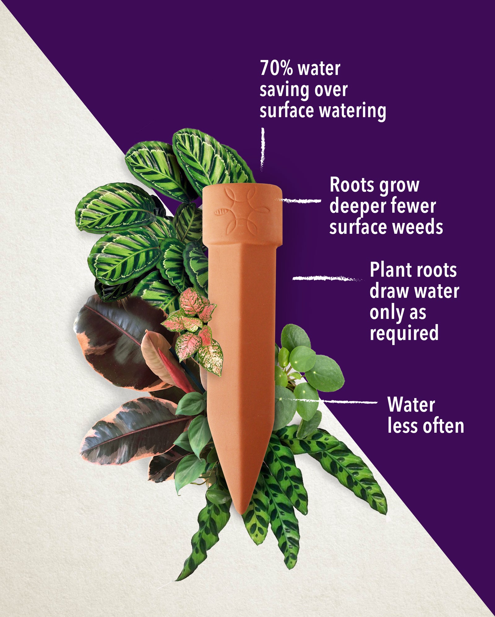 Terracotta Water Spike Plant Self Watering Trusted Brand Up On The Rooftop